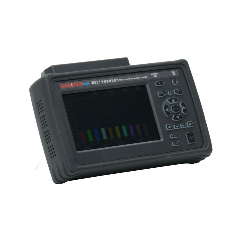 WS31 Handheld